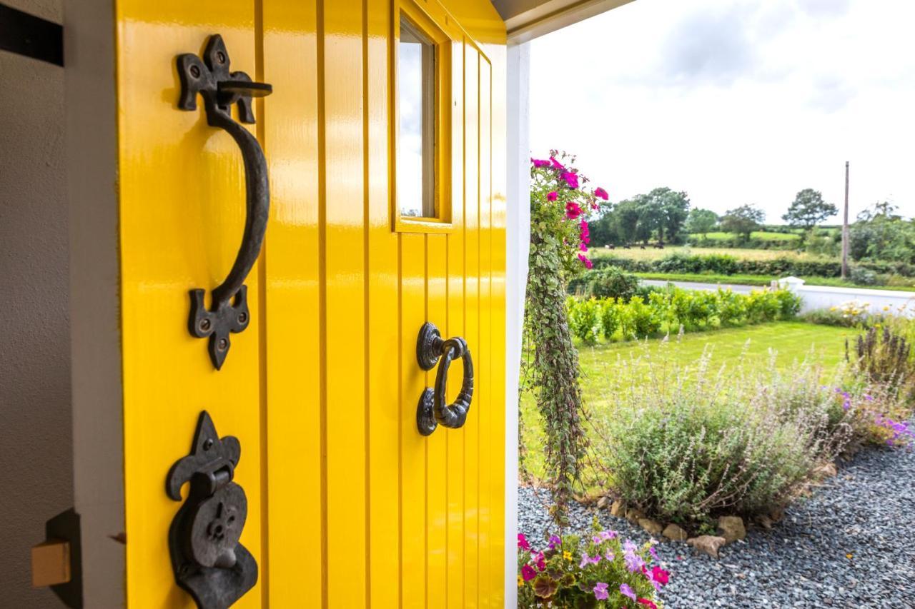 Katie's Bellaghy
